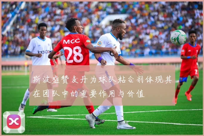 斯波盛赞麦丹为球队粘合剂体现其在团队中的重要作用与价值