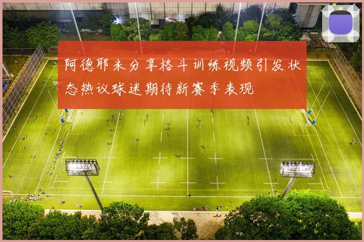 阿德耶米分享格斗训练视频引发状态热议球迷期待新赛季表现