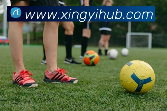 星亿娱乐平台生态图