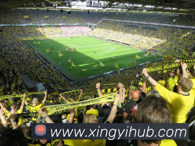 星亿娱乐APP 封面图