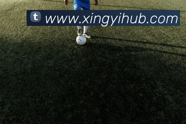 数据防护可视化